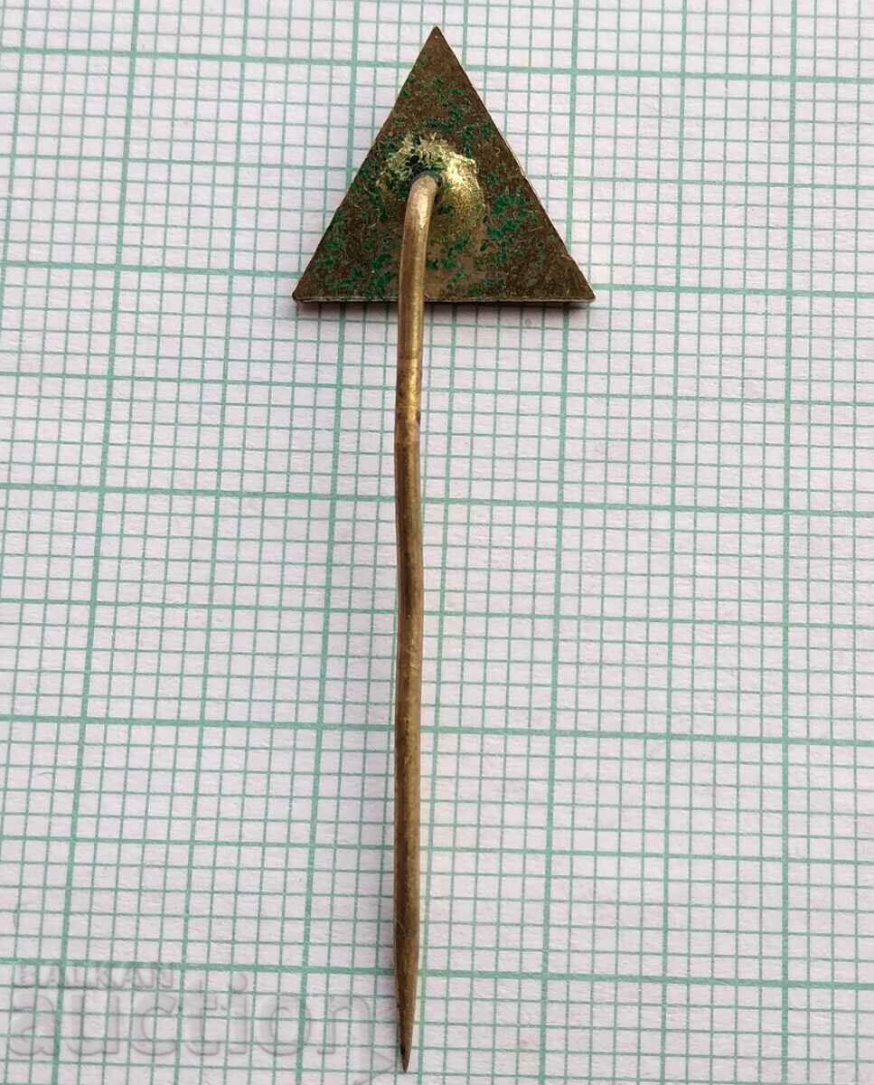 Auction 17015 Badge - ESP - bronze enamel Auction 17015 Badge - ESP - bronze enamel