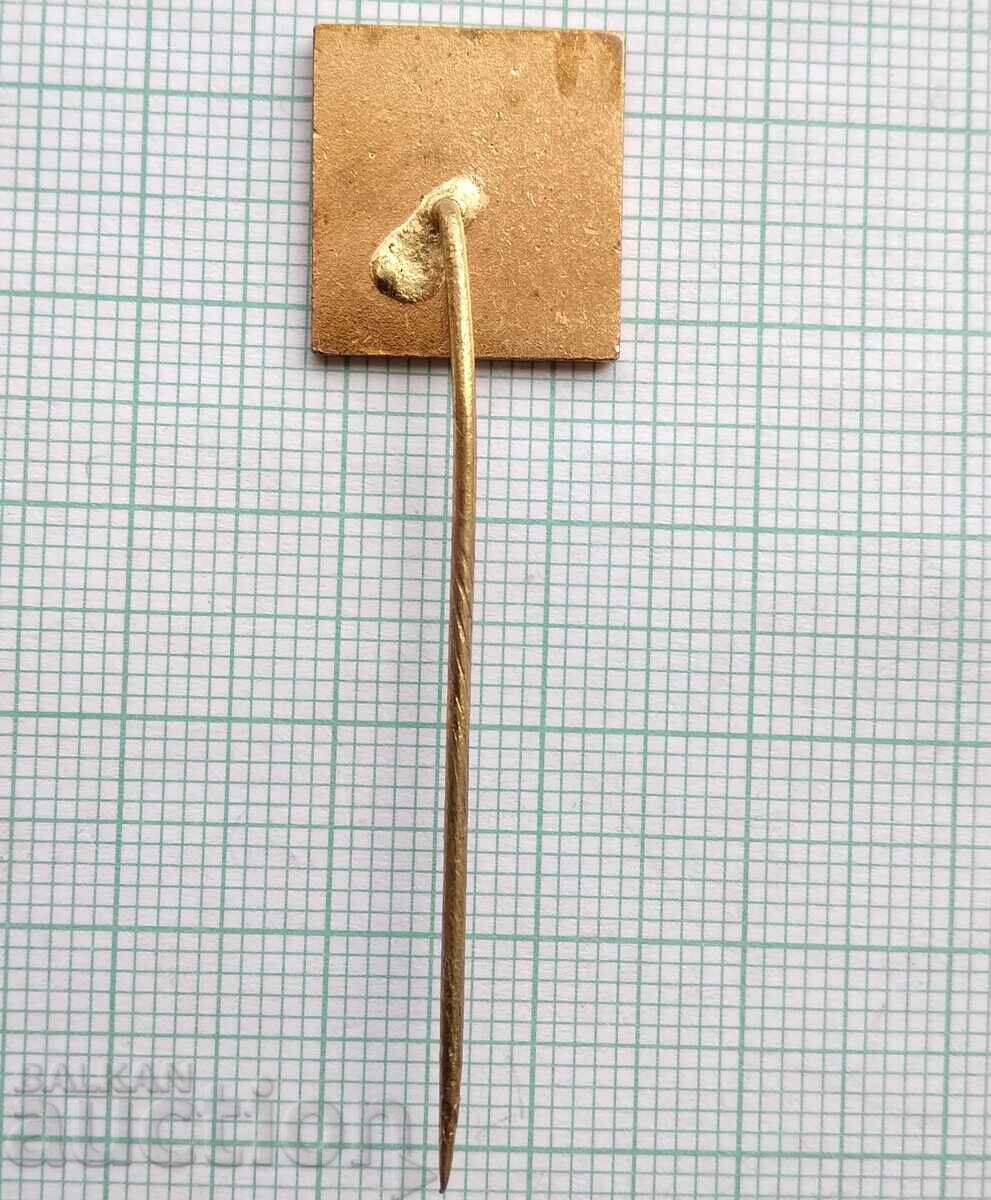 Auction  17017 Badge - Prague 1968 - bronze enamel