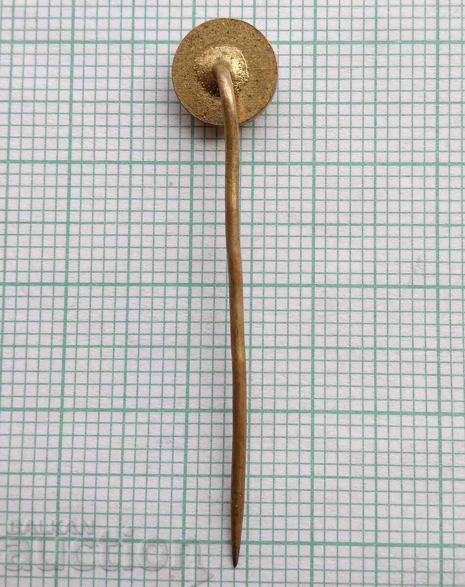 Auction 17019 Badge Auction 17019 Badge