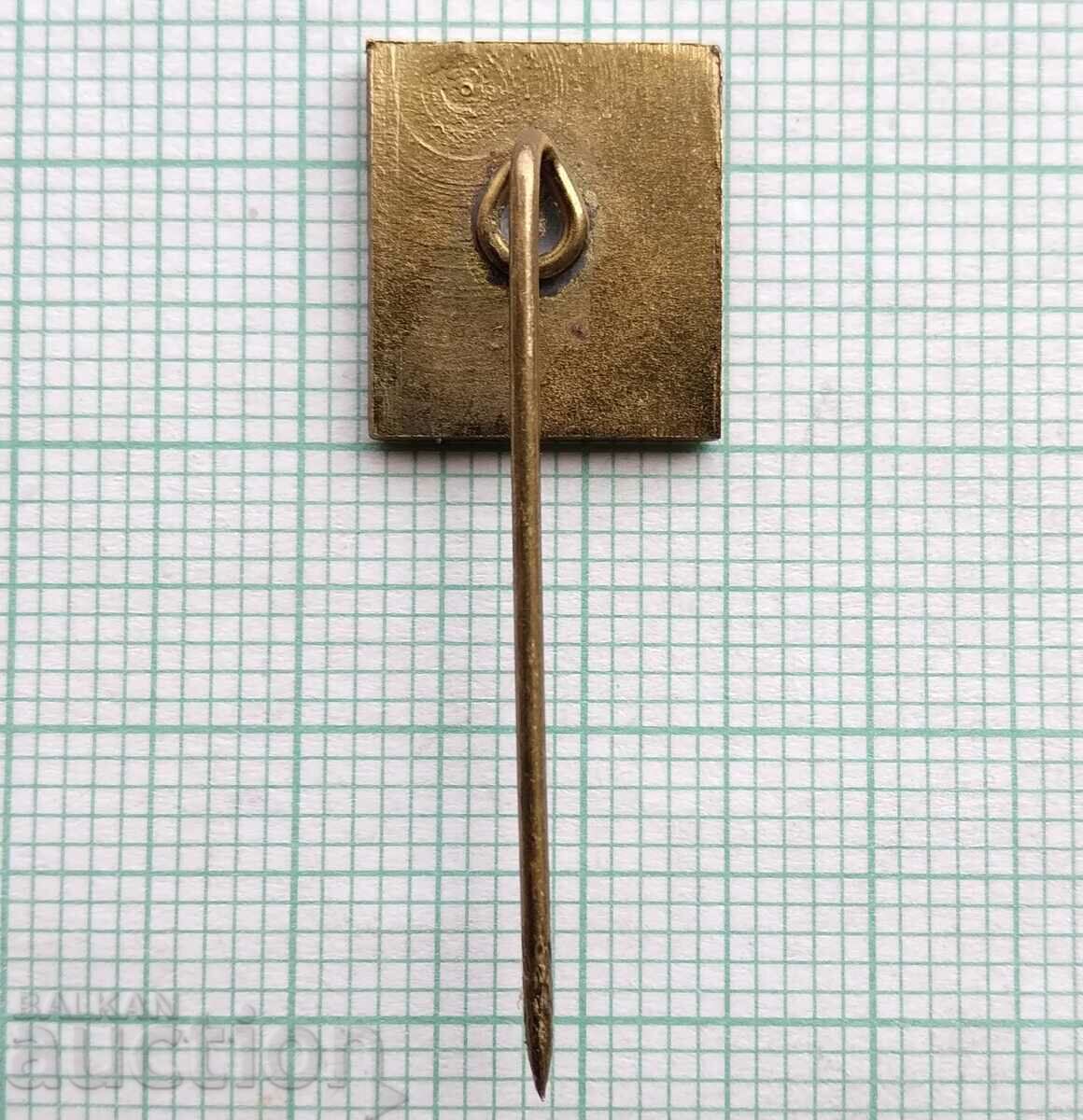 Auction  17020 Badge