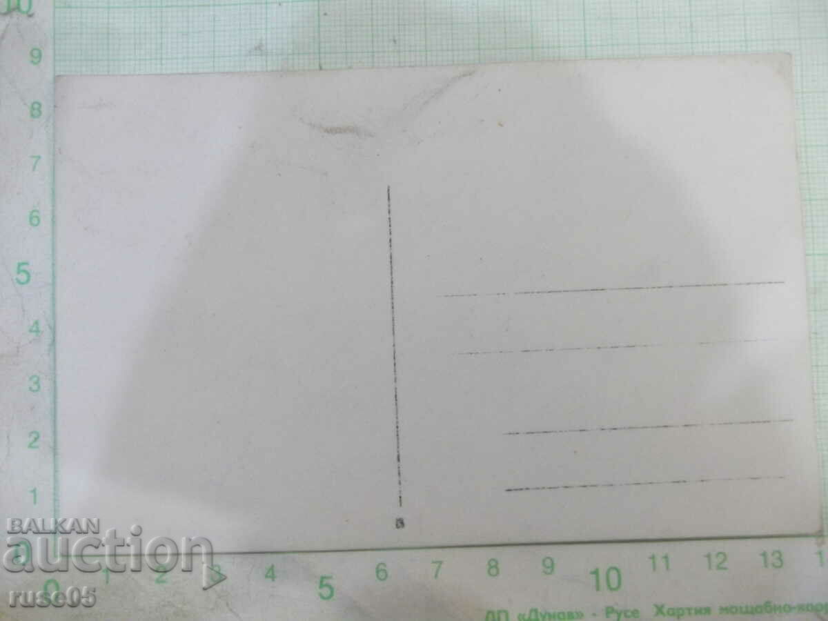 Old photo of young people by the river with price 5.00 BGN | € 2.56