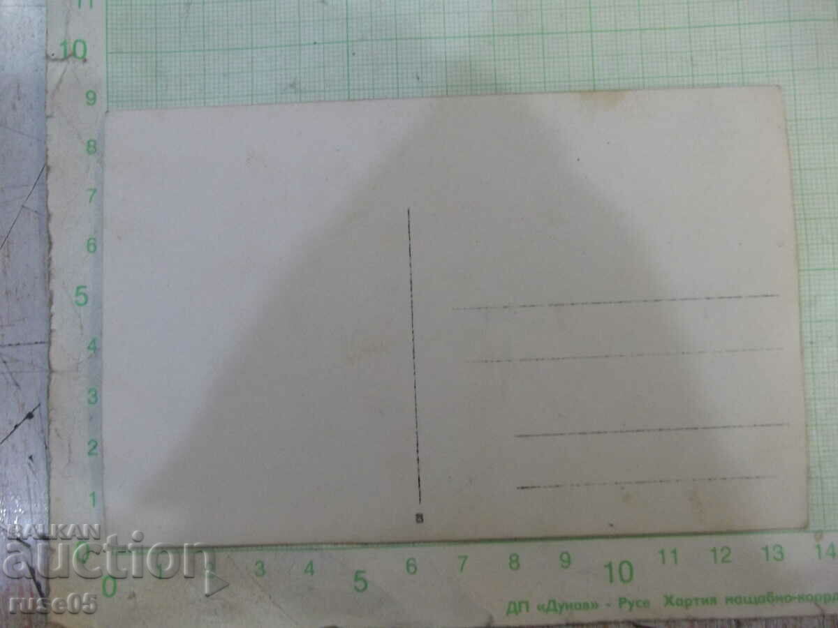 Old photo of young people by the river on a bridge with price 5.00 BGN | € 2.56 Old photo of young people by the river on a bridge with price 5.00 BGN | € 2.56