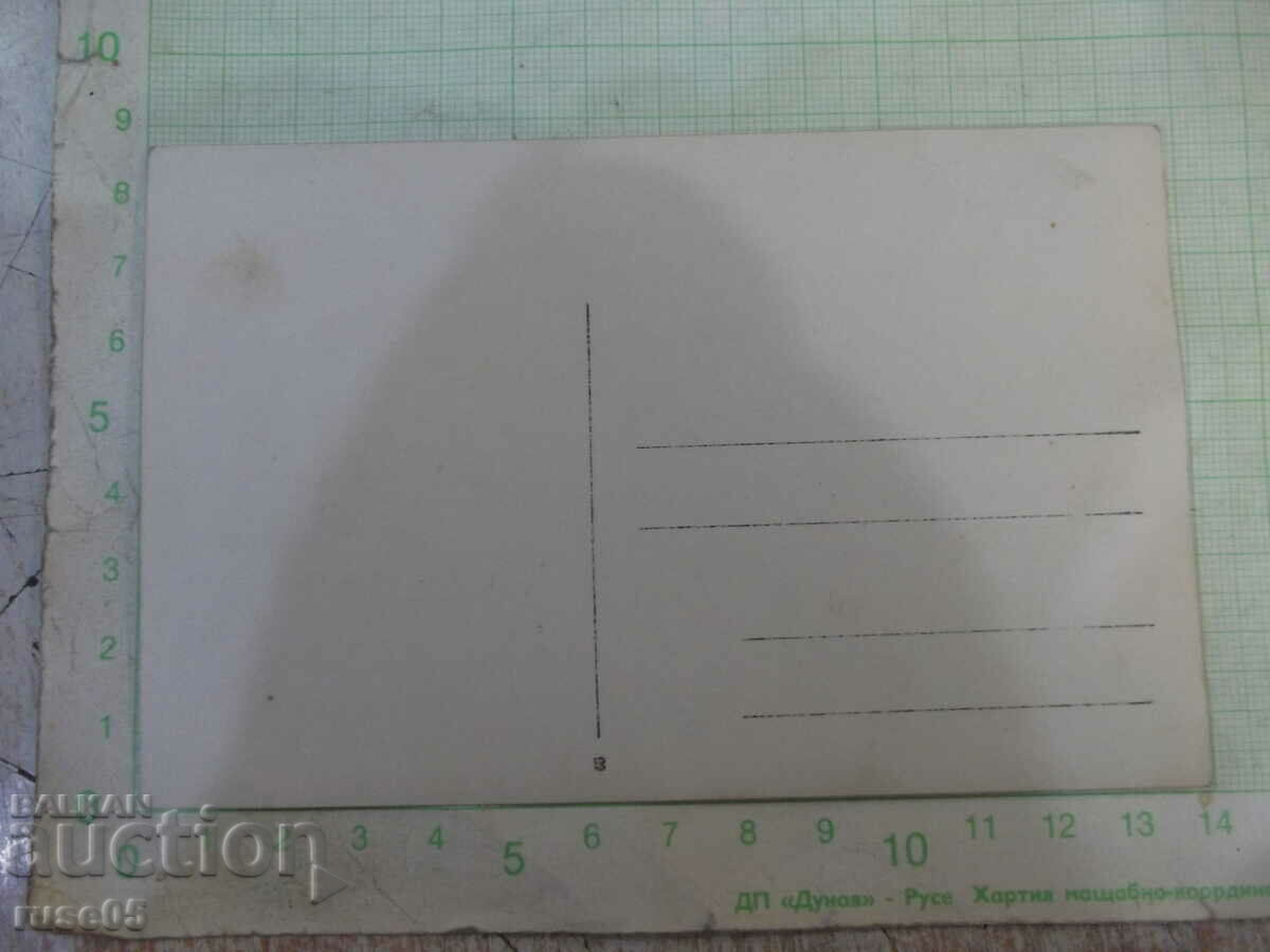 Μια παλιά φωτογραφία μιας ομάδας νέων σε δύο ποδήλατα με τιμή 5.00 BGN | € 2.56 Μια παλιά φωτογραφία μιας ομάδας νέων σε δύο ποδήλατα με τιμή 5.00 BGN | € 2.56