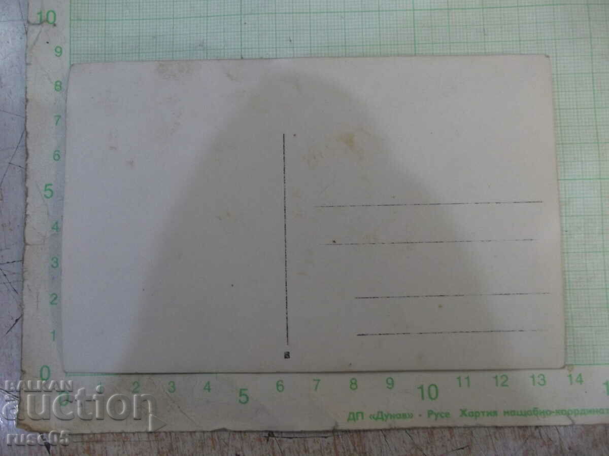 Old photo of a group of young people with two bicycles on the river with price 5.00 BGN | € 2.56