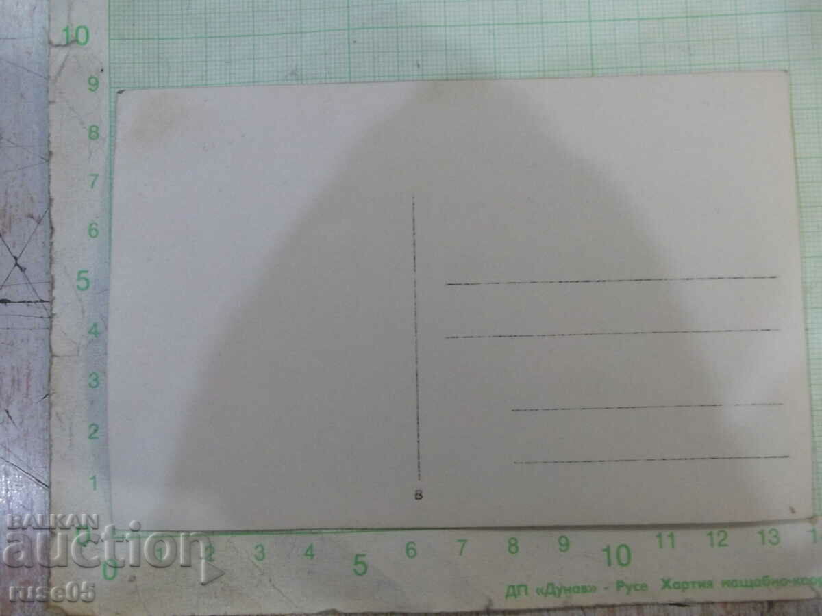 Μια παλιά φωτογραφία μιας παρέας νεαρών που βρίσκονται στην όχθη δίπλα στο ποτάμι με τιμή 5.00 BGN | € 2.56 Μια παλιά φωτογραφία μιας παρέας νεαρών που βρίσκονται στην όχθη δίπλα στο ποτάμι με τιμή 5.00 BGN | € 2.56