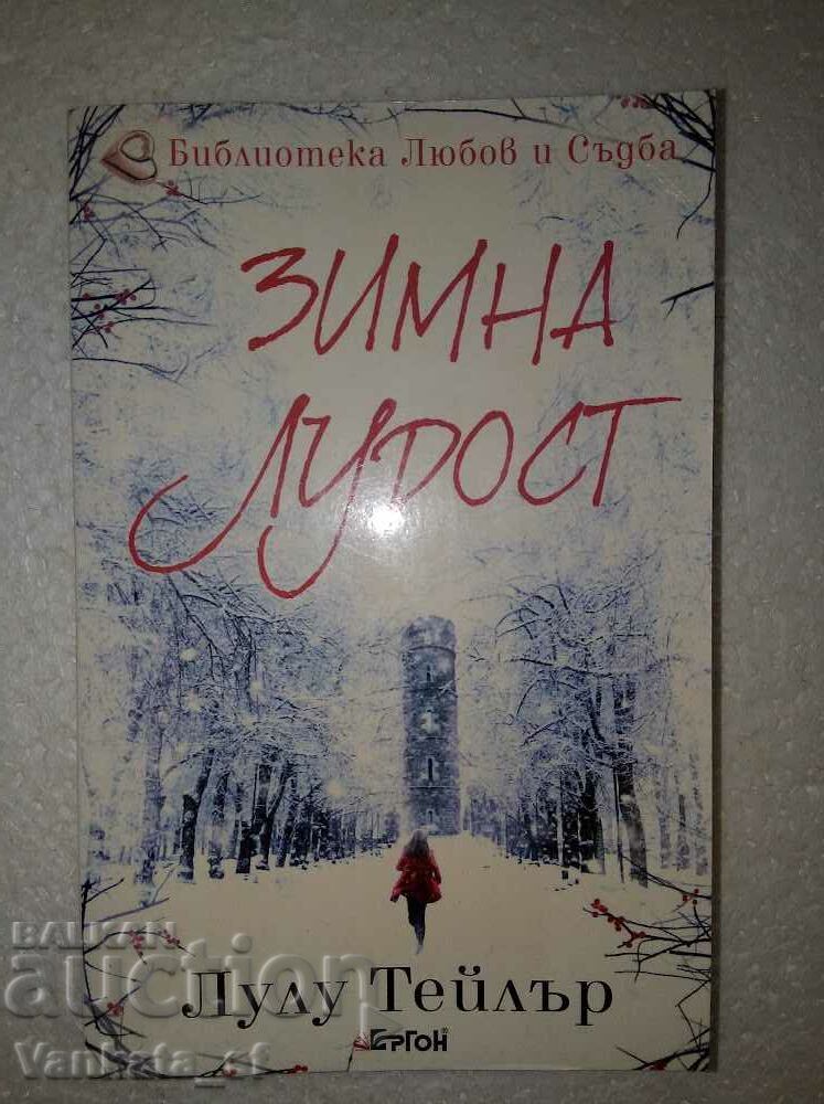Winter Madness - Lulu Taylor