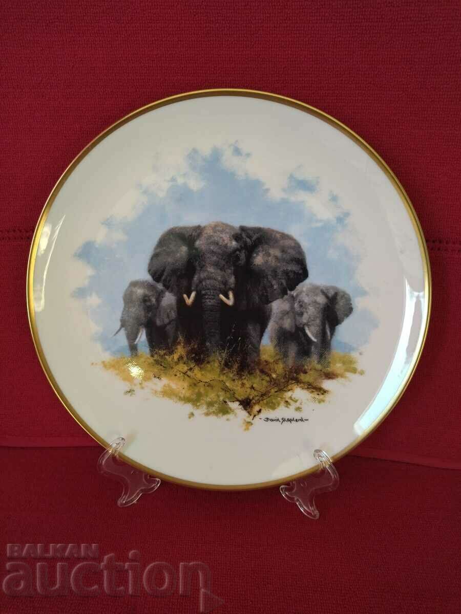 Collector plate