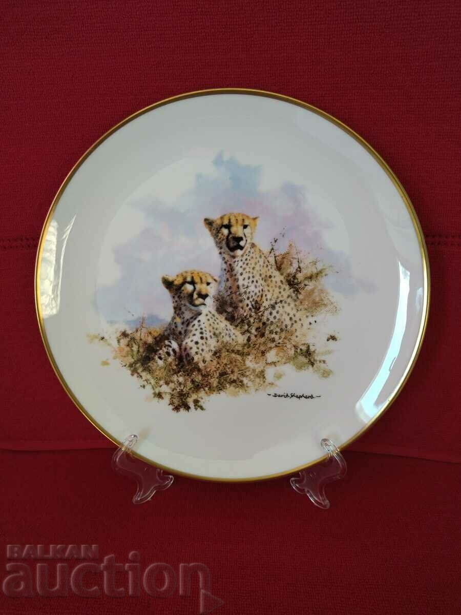 Collector plate