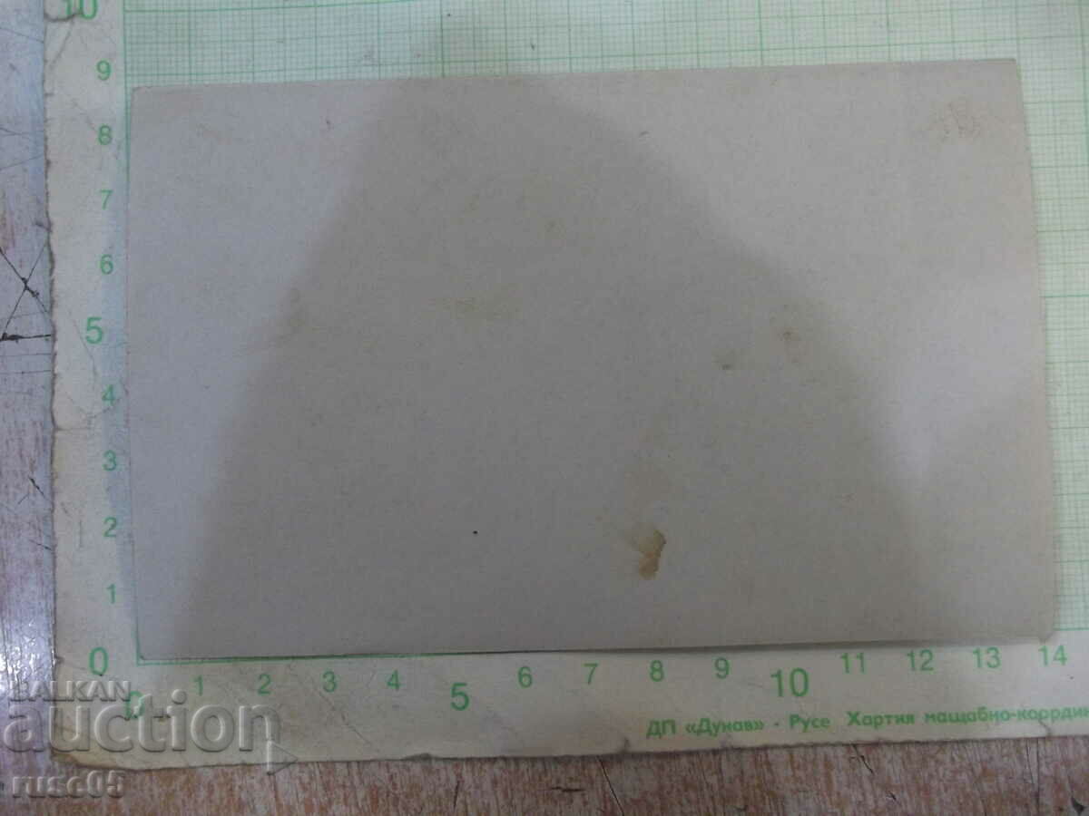 Old photo of a group of young men with two women in costumes with price 3.00 BGN | € 1.53