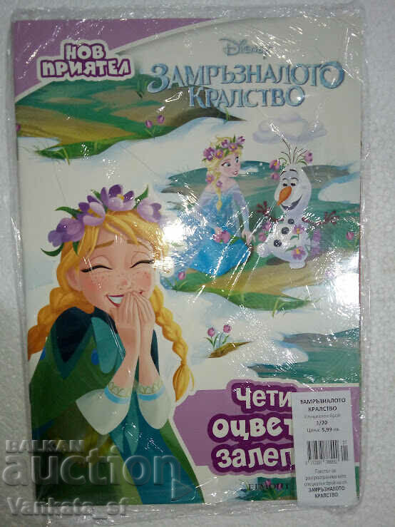 Frozen - Magazine 2 Pack