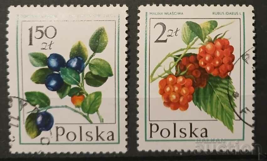 Polonia 1977 Flora/Flori Kleimo