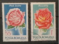 Romania 1970 Flora/Flowers Cleimo