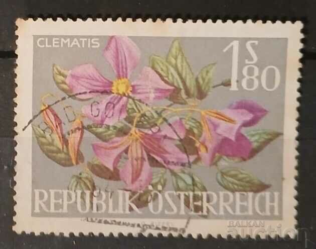 Austria 1964 Flora/Flori Kleimo