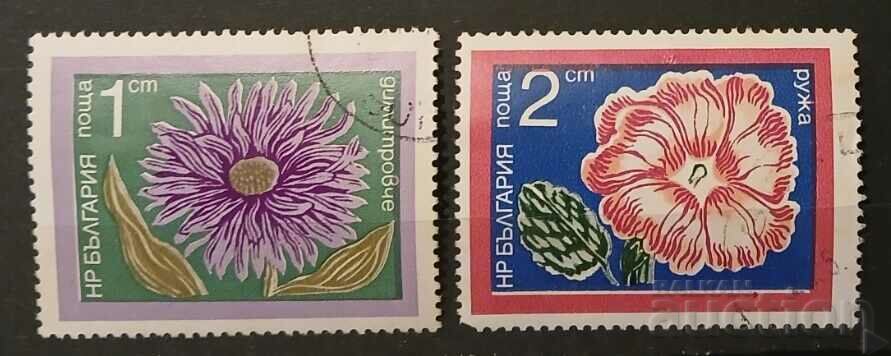 Bulgaria 1974 Flora/Flori Kleimo