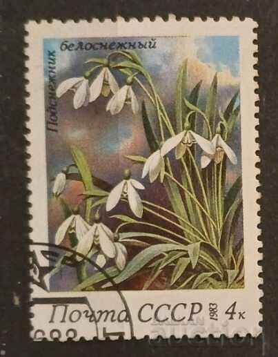 URSS 1983 Flora/Flori Kleimo