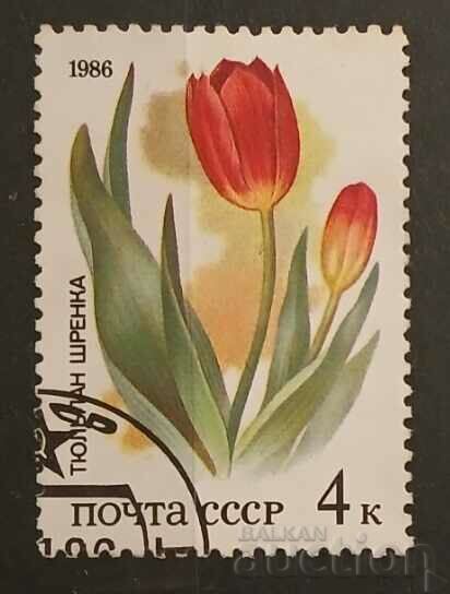 USSR 1986 Flora/Flowers Kleimo