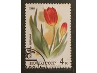 USSR 1986 Flora/Flowers Kleimo