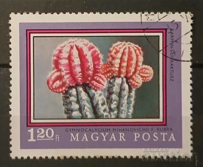 Hungary 1971 Flora/Flowers/Cacti Stamp