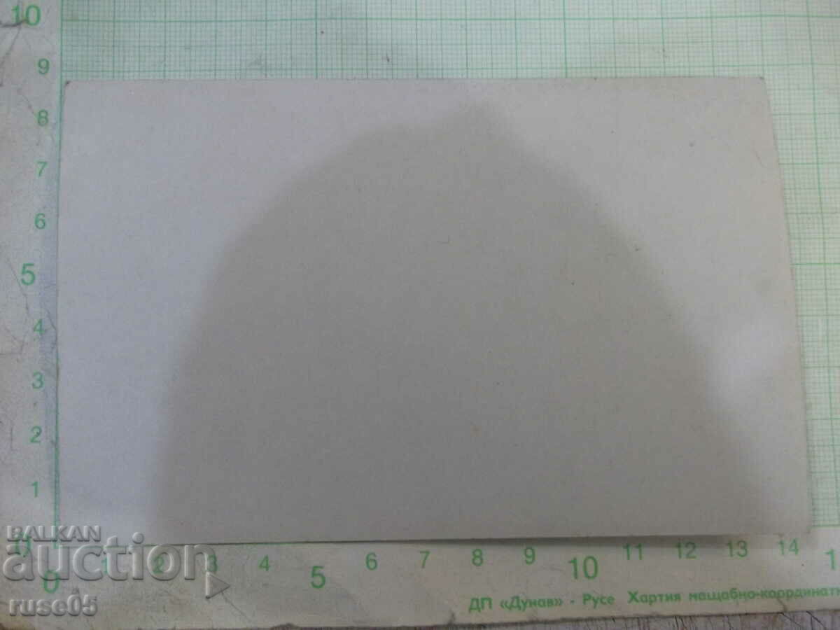 Μια παλιά φωτογραφία μιας παρέας νεαρών μπροστά σε ένα πευκοδάσος με τιμή 3.00 BGN | € 1.53