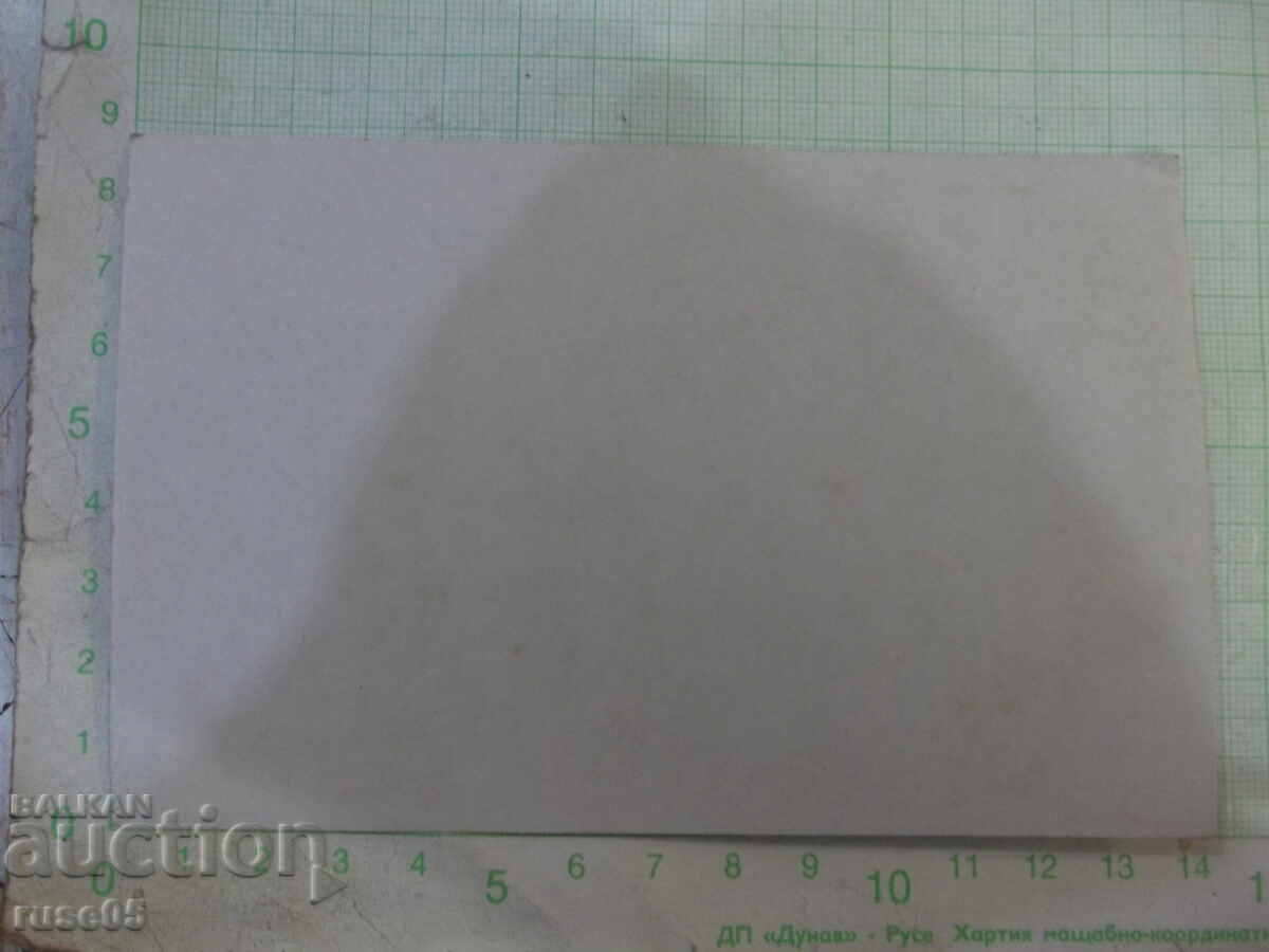 Παλιά φωτογραφία μπροστά στα δέντρα - 1 με τιμή 5.00 BGN | € 2.56 Παλιά φωτογραφία μπροστά στα δέντρα - 1 με τιμή 5.00 BGN | € 2.56