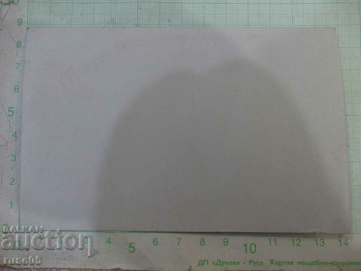 Photo of an old group of young people in the shade on a sunny day with price 5.00 BGN | € 2.56 Photo of an old group of young people in the shade on a sunny day with price 5.00 BGN | € 2.56