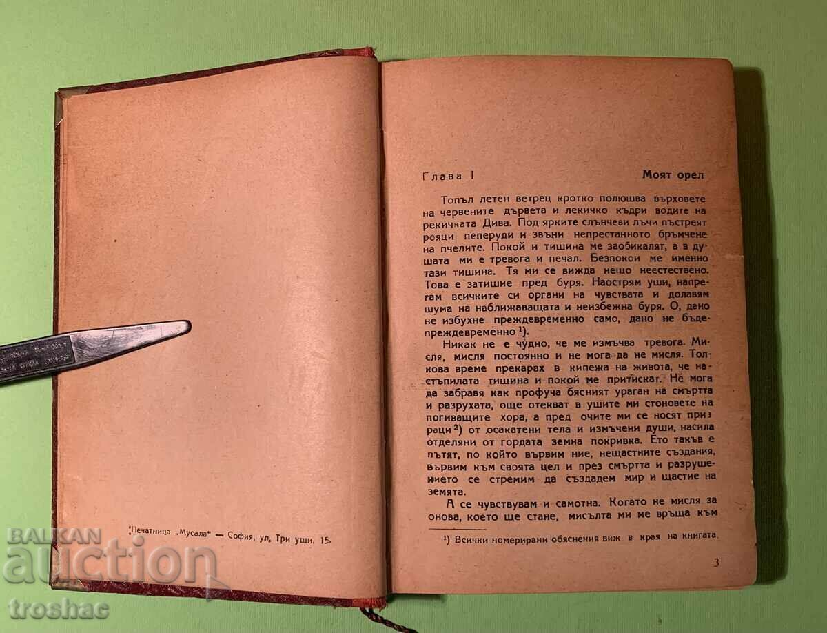 Auction  Old Book The Iron Heel and Wintering Among the Ice 2in1