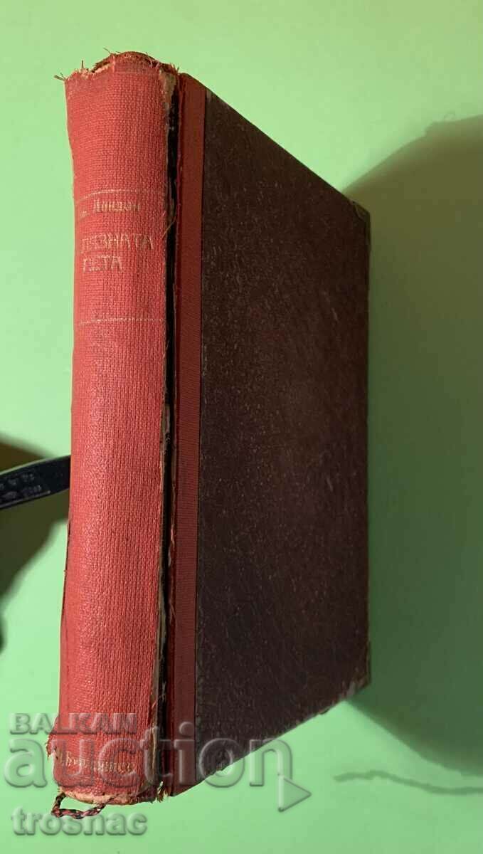 Old Book The Iron Heel and Wintering Among the Ice 2in1 - 5