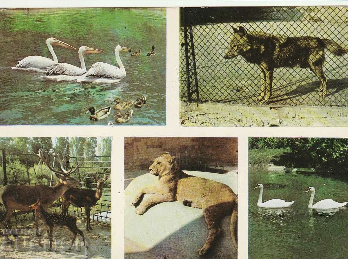 Bulgaria - PK - Grădina Zoologică din Varna