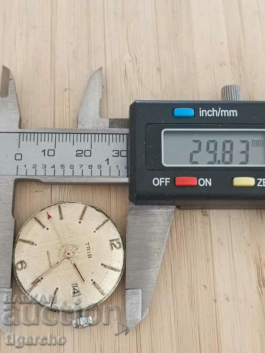 TRIB Clock Winder - 5 TRIB Clock Winder - 5