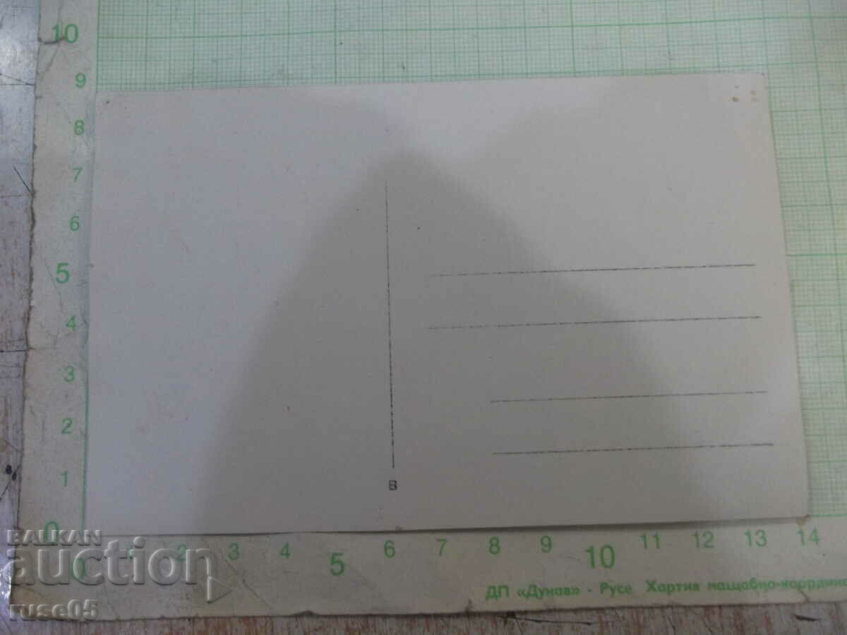 Old photo of a group by the river with price 5.00 BGN | € 2.56 Old photo of a group by the river with price 5.00 BGN | € 2.56