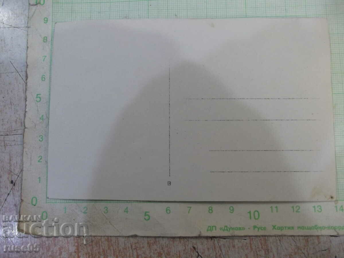 Old photo of a group on a walk with price 5.00 BGN | € 2.56