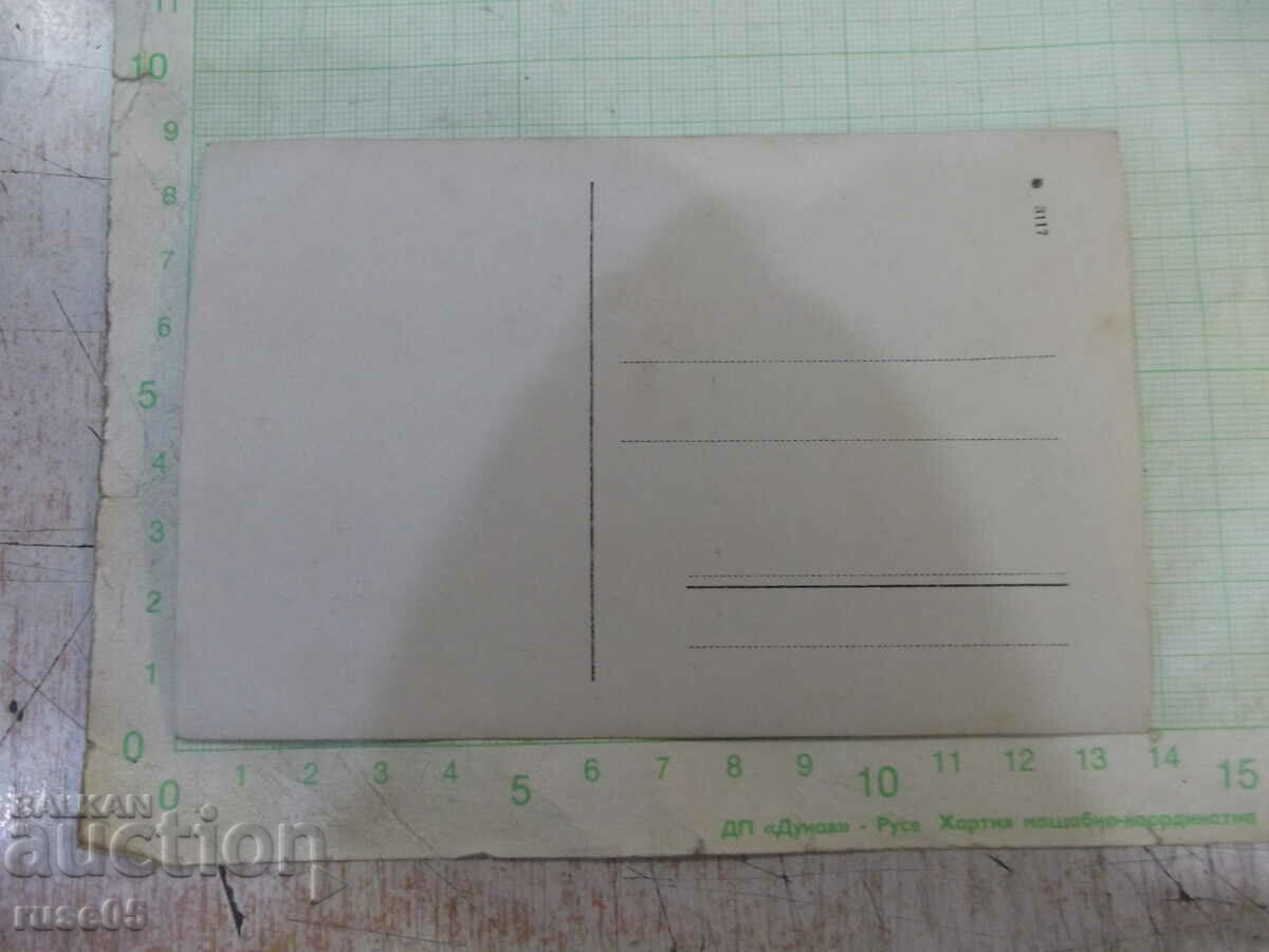 Μια παλιά φωτογραφία μιας ομάδας νεαρών κυριών με τιμή 5.00 BGN | € 2.56 Μια παλιά φωτογραφία μιας ομάδας νεαρών κυριών με τιμή 5.00 BGN | € 2.56