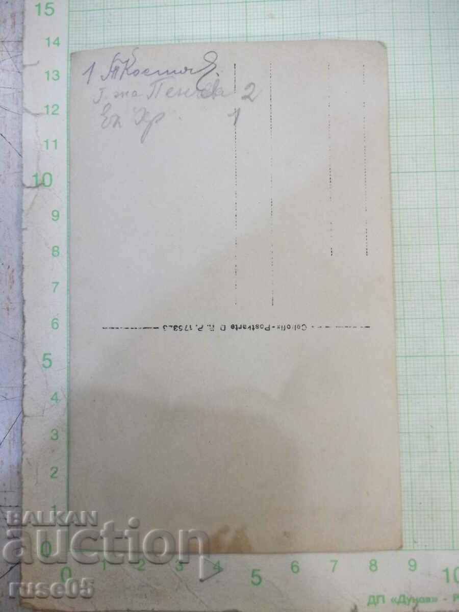 Δημοπρασία Παλιά φωτογραφία φίλων σε εκδρομή Δημοπρασία Παλιά φωτογραφία φίλων σε εκδρομή