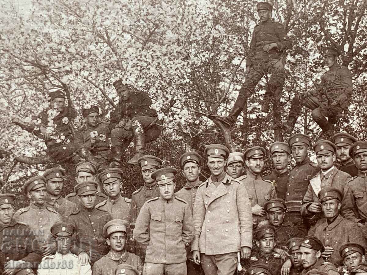 Old military photo cardboard with price 10.00 BGN | € 5.11