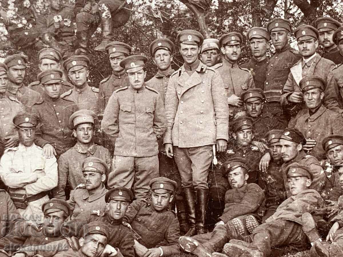 Auction  Old military photo cardboard