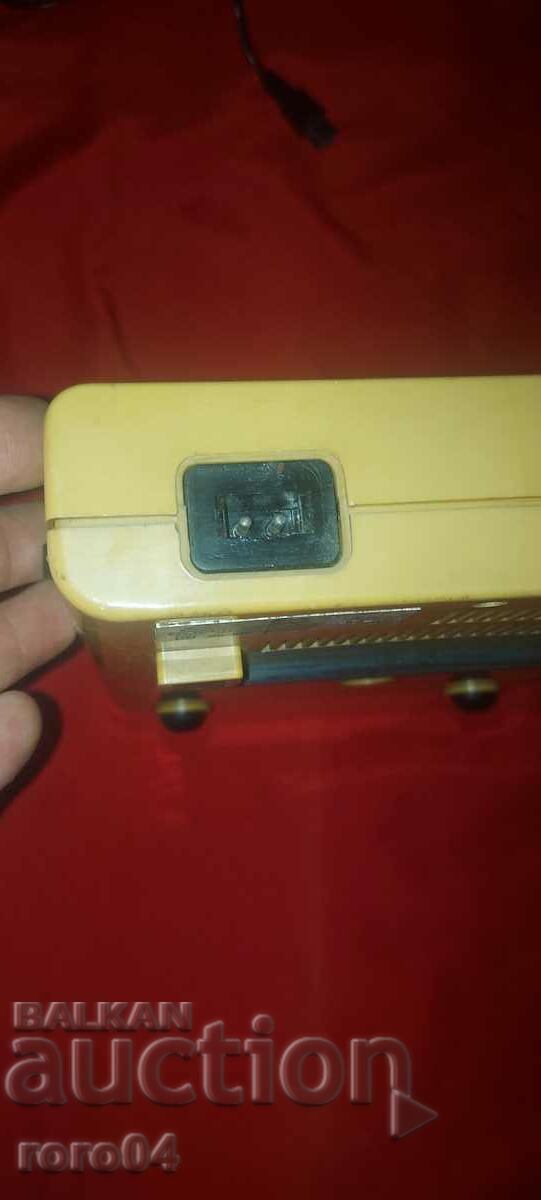 TREE - 51 - 7 TREE - 51 - 7