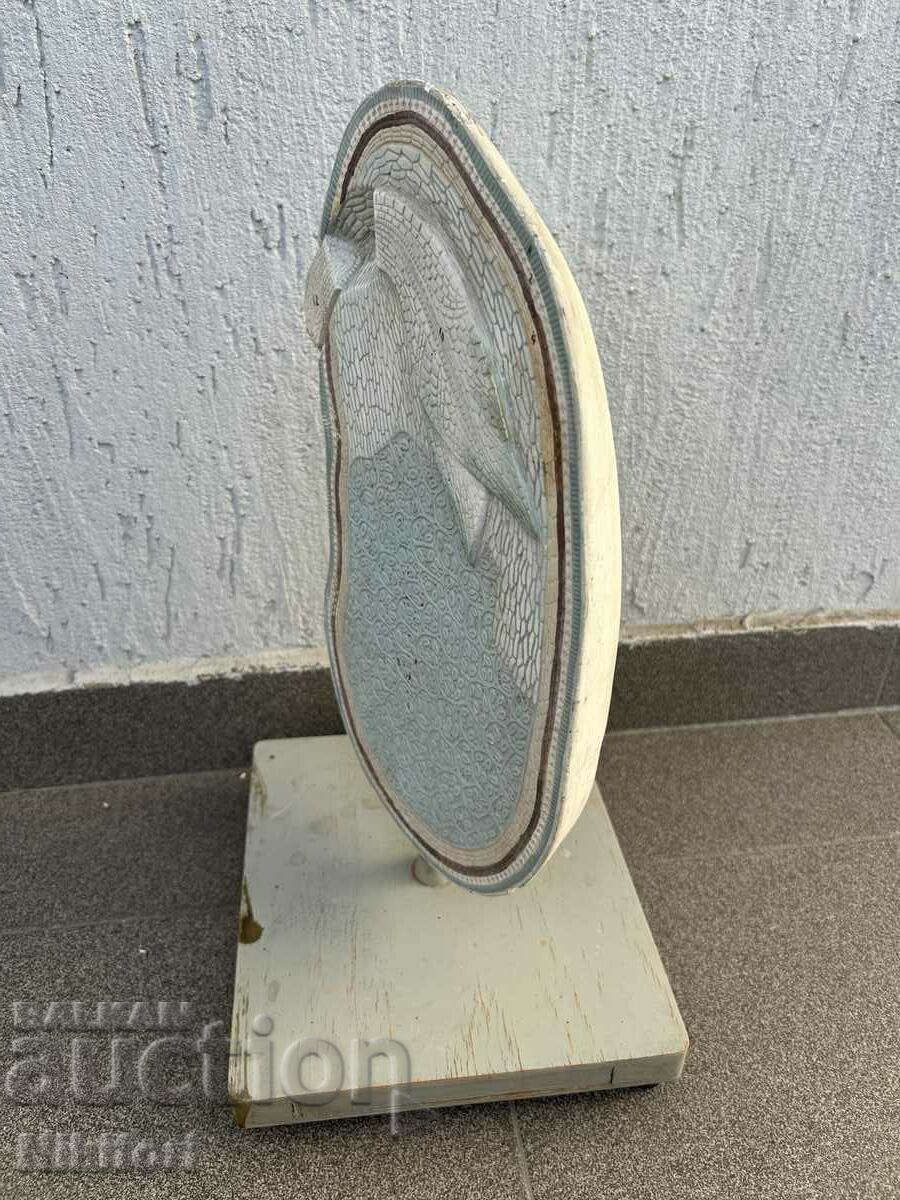 Soc Educational Layout Model Biology Uchtehprom with price € 89.00 | 174.07 BGN Soc Educational Layout Model Biology Uchtehprom with price € 89.00 | 174.07 BGN