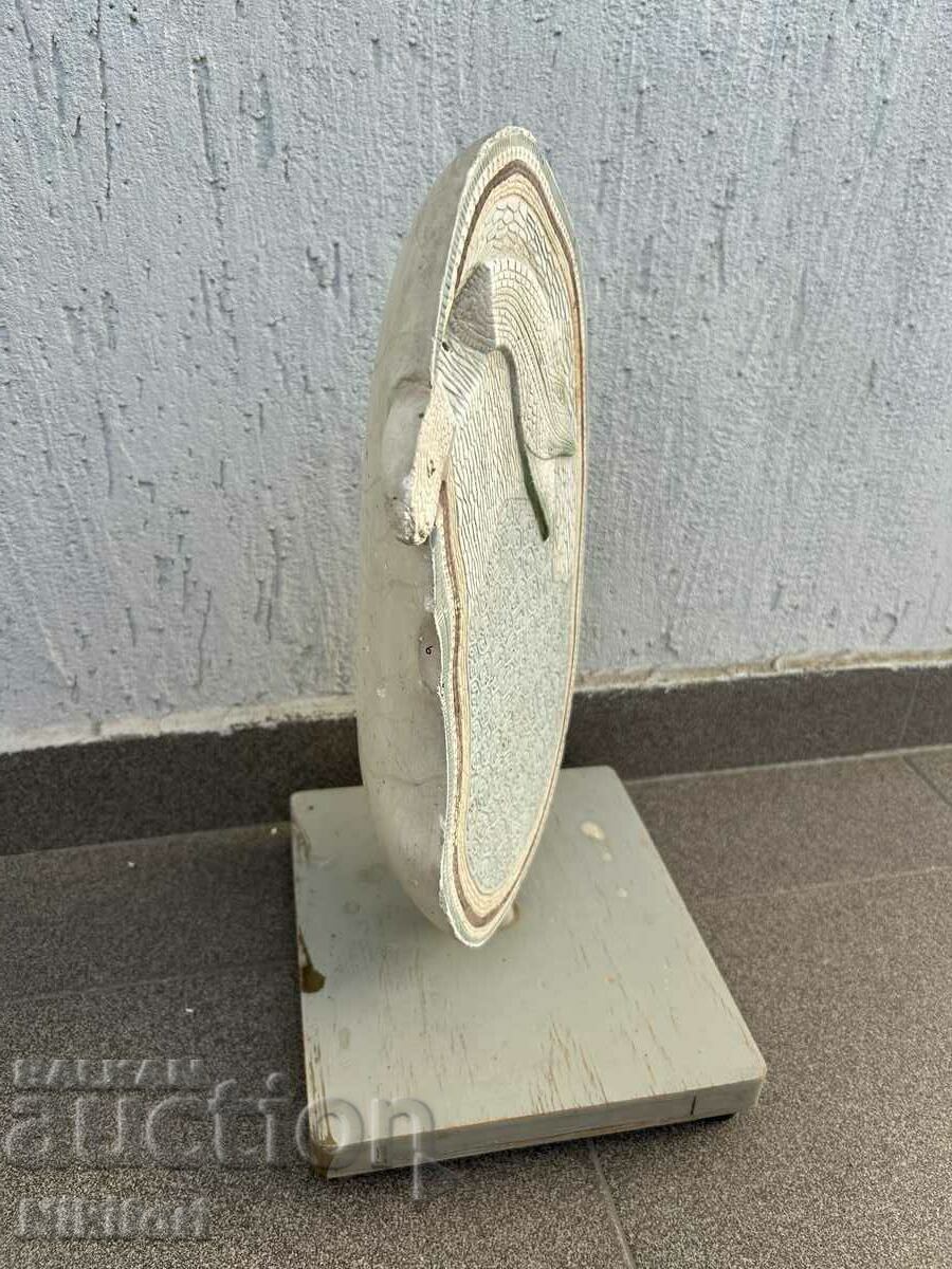 Auction Soc Educational Layout Model Biology Uchtehprom Auction Soc Educational Layout Model Biology Uchtehprom