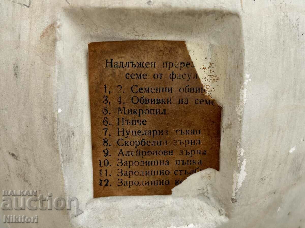 Soc Educational Layout Model Biology Uchtehprom - 5 Soc Educational Layout Model Biology Uchtehprom - 5