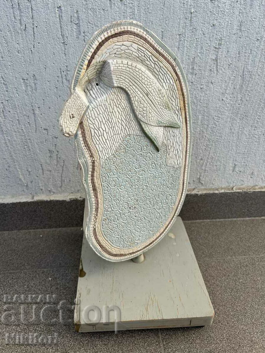 Соц Учебен Макет Модел Биология Учтехпром Соц Учебен Макет Модел Биология Учтехпром