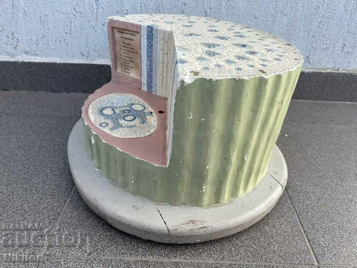 Соц Учебен Макет Модел Биология Учтехпром с цена 145.00 лв. | € 74.14 Соц Учебен Макет Модел Биология Учтехпром с цена 145.00 лв. | € 74.14