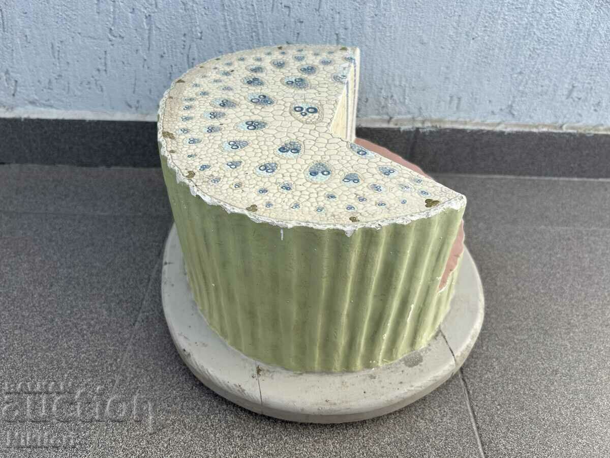 Livrarea Soc Educational Layout Model Biology Uchtehprom