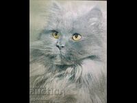 Old large painting-Persian cat-52/45cm