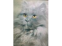 Old large painting-Persian cat-52/45cm