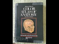 I sell; Color atlas of anatomy: A photographic study of..