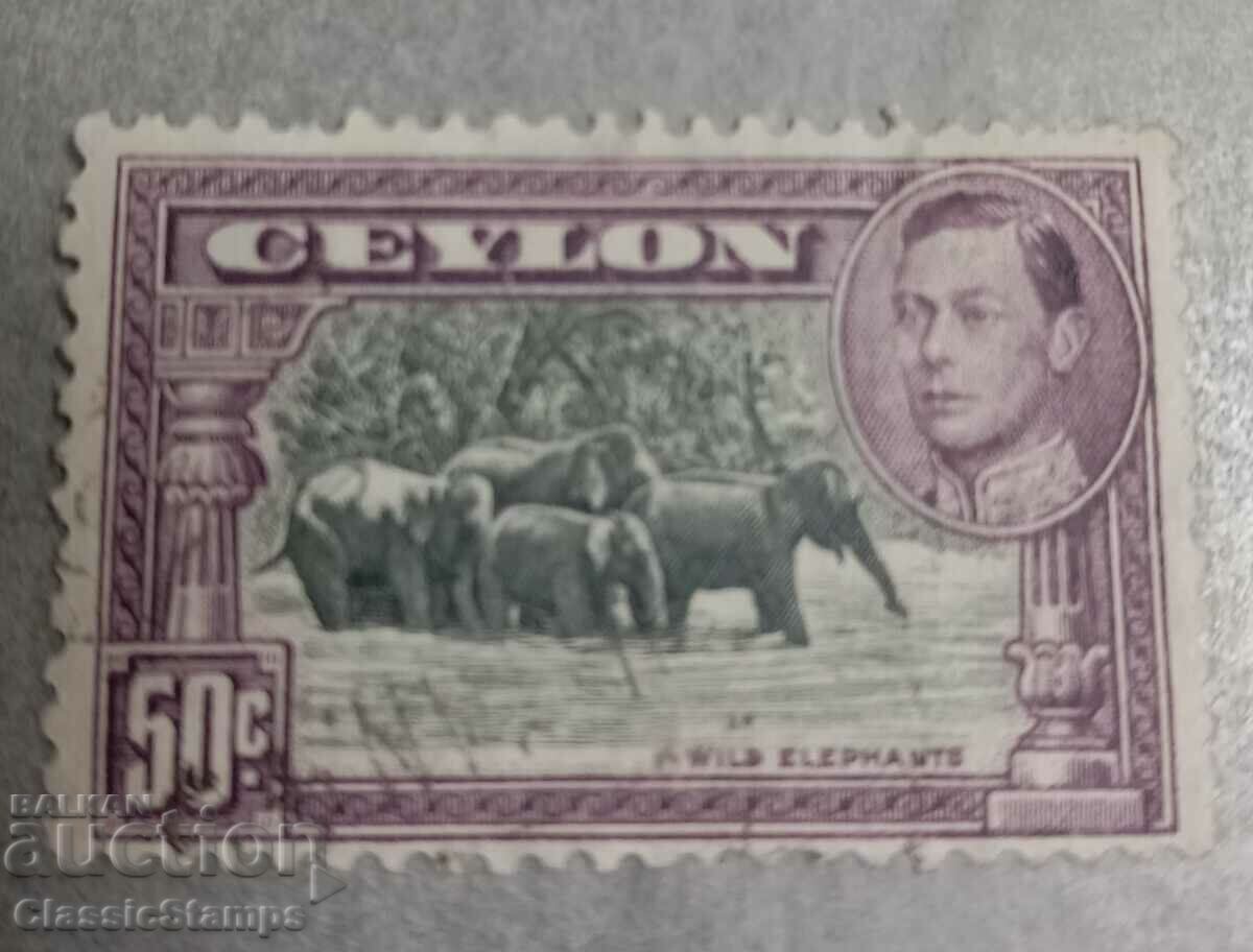 Ceylon