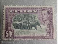 Ceylon