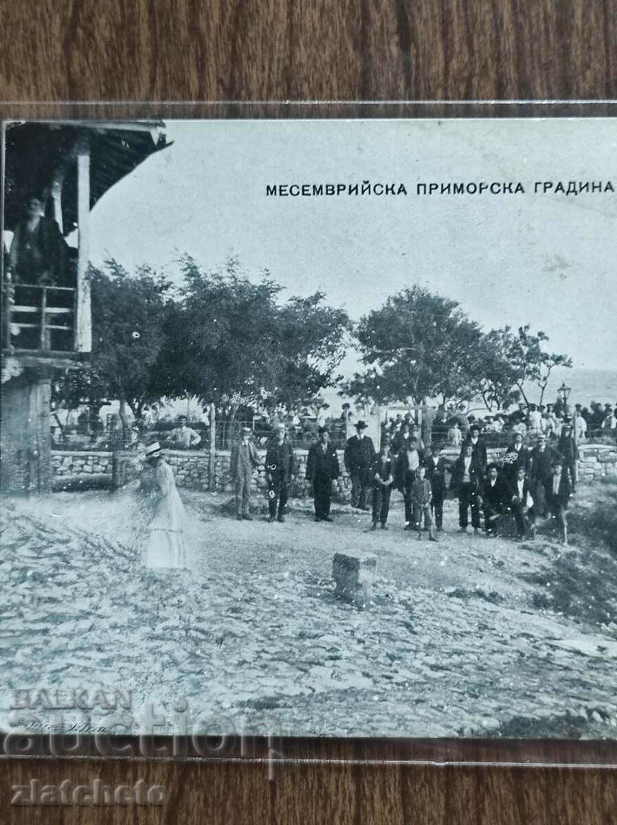 Δημοπρασία Καρτ ποστάλ - Παραθαλάσσιος Κήπος Μεσημβρής Δημοπρασία Καρτ ποστάλ - Παραθαλάσσιος Κήπος Μεσημβρής