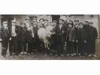 , OLD PHOTOGRAPH KINGDOM OF BULGARIA BUFFALO COW OX