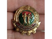 . EXCELLENCE IN PHYSICAL WORK BADGE BADGE MEDAL